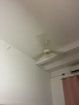 Nhefertary webcam