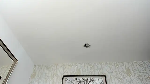 Lander_Cruz webcam