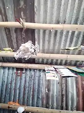 Sweet_pinayxx webcam