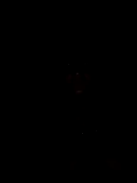 Rpelerakolkio webcam