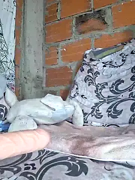 Juli_Powl webcam