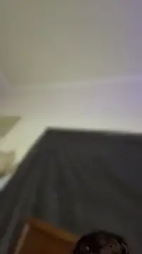 anime221 webcam
