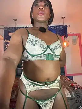 Fersecrettt_ webcam