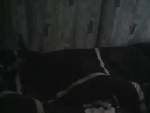 Bigbooty_sexy webcam