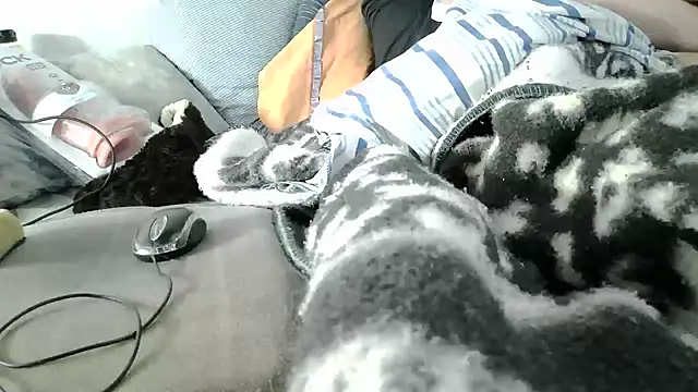messi_syssy webcam