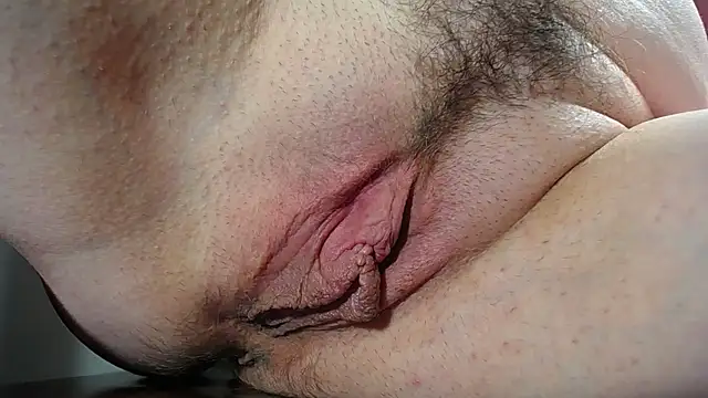 Xollan_ webcam