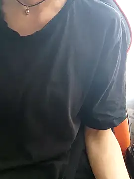 Aashikalaa webcam