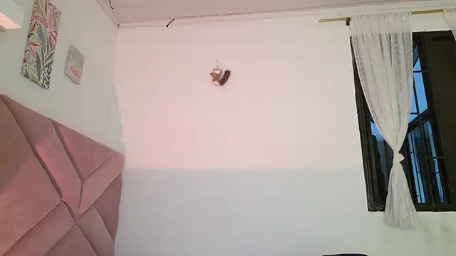 eva_sin18 webcam