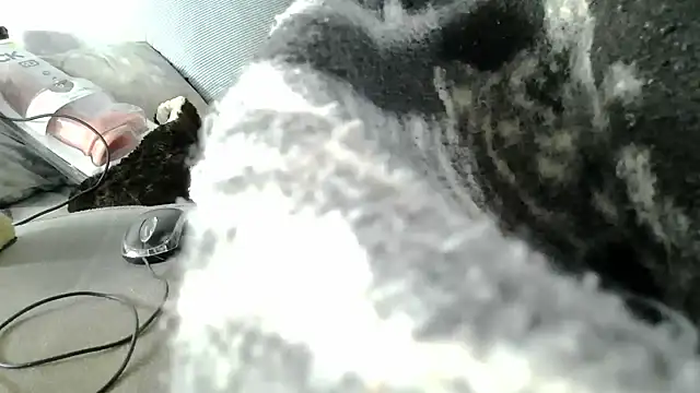 messi_syssy webcam