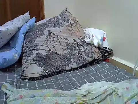 verl1 webcam
