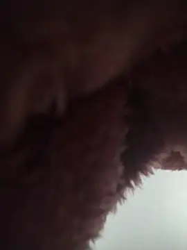 You-sexy-starr webcam