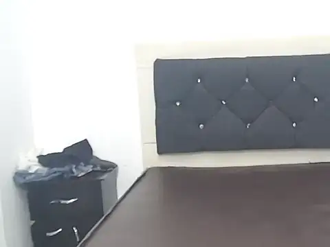 blazertr webcam