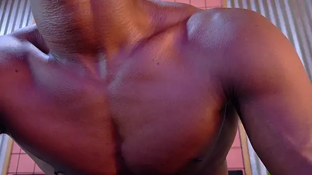 martin_killer webcam
