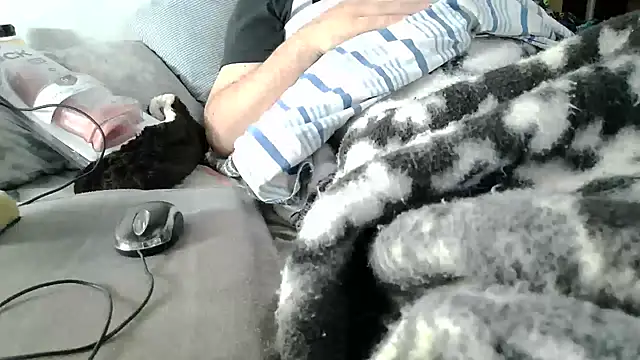 messi_syssy webcam