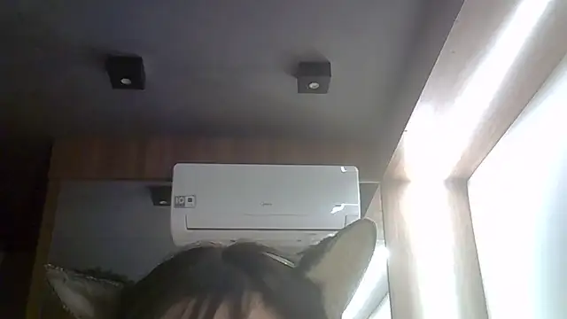 SkinnyKitten webcam