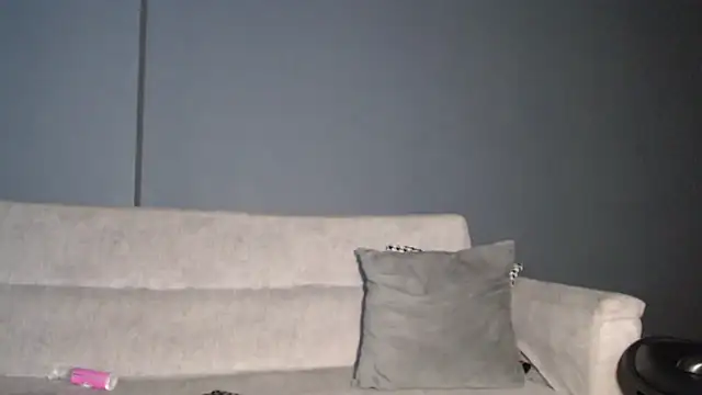 dirty_27cms webcam