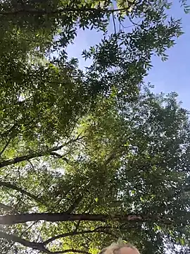 MerlinDave webcam