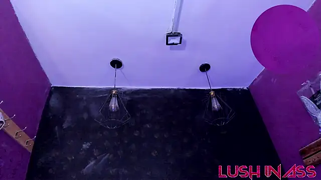 Alexa_Slave webcam