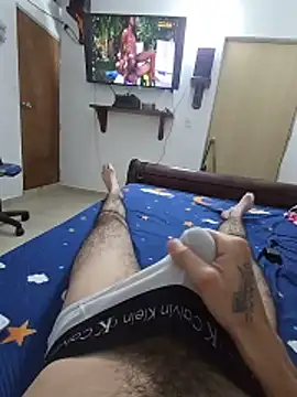 PetrousSpinster webcam