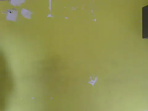 Stubborndesiboy webcam
