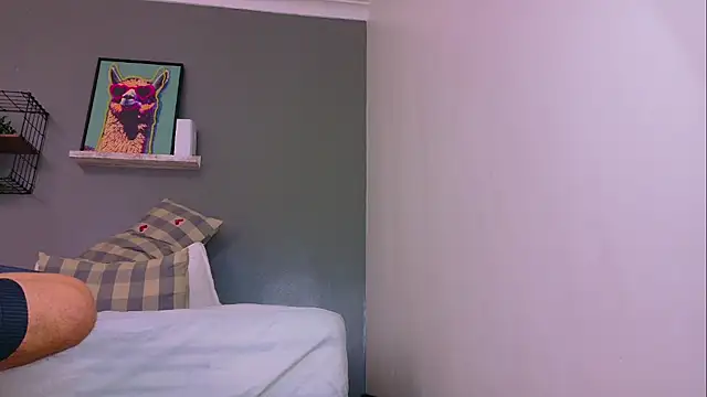 MrFox__ webcam