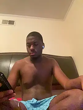ThickDic28 webcam