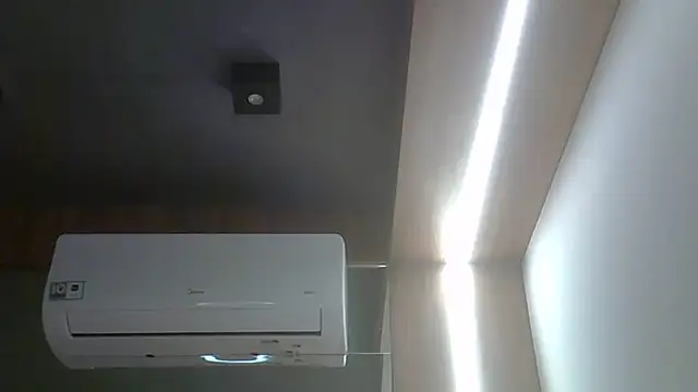 SkinnyKitten webcam