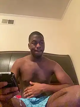 ThickDic28 webcam