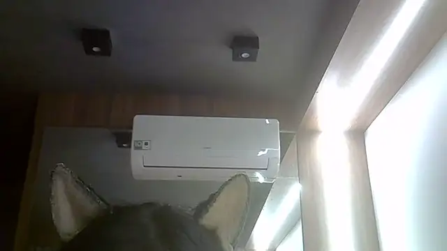 SkinnyKitten webcam