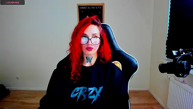 your_tora webcam