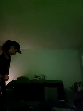 LargeDominoes webcam