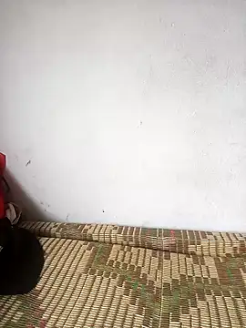 Hivi_06 webcam
