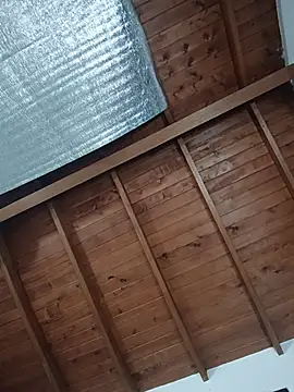 SilvaBranko webcam