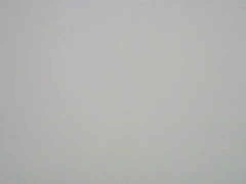 humanRobotSaki webcam