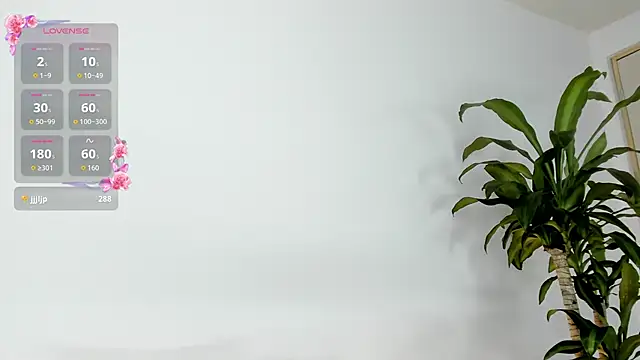 Jentokio webcam