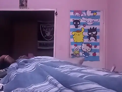 Blkstylion webcam