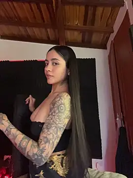 _iink_ webcam