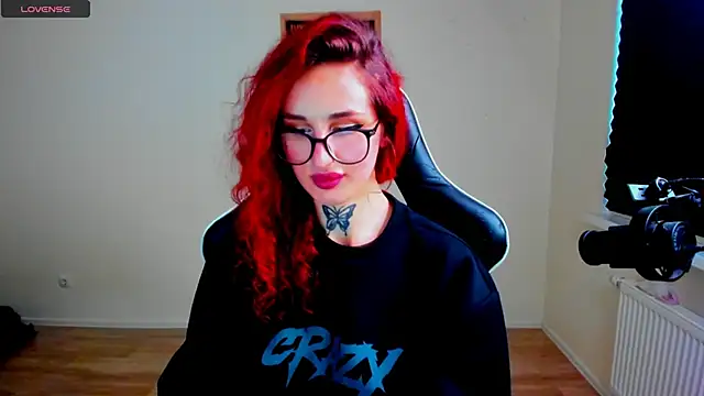 your_tora webcam