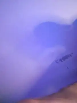RoomExotic11 webcam