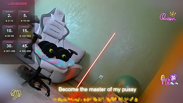 ReggieMeow webcam