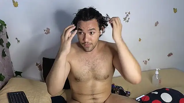 FreyrStyle webcam