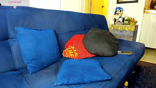 owen_freid webcam