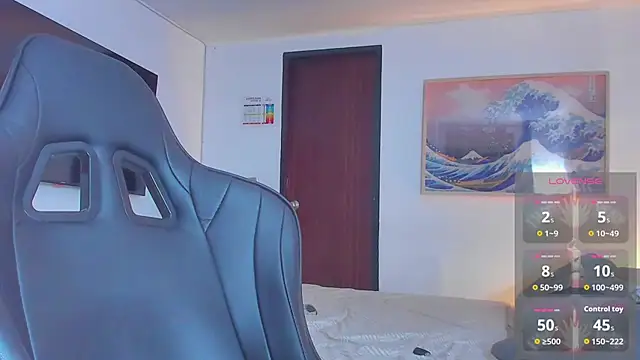 RJBarto webcam