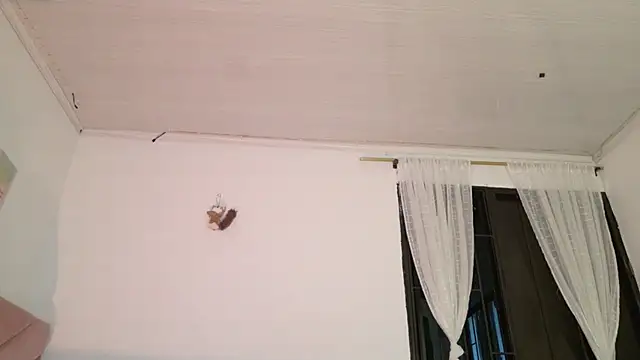 eva_sin18 webcam