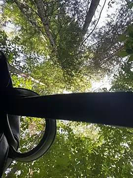 MerlinDave webcam