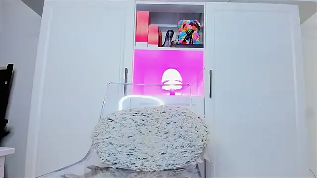 Aidasina webcam
