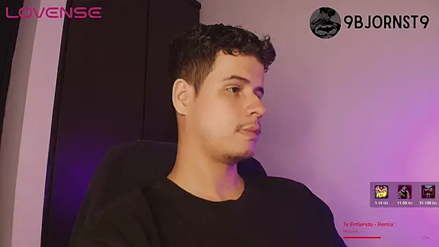 BjornSteel webcam