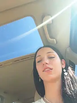 DollyTall webcam