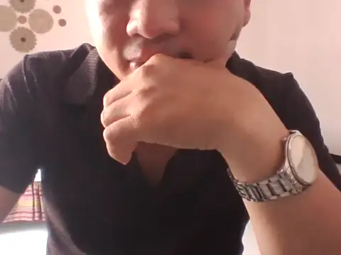 Palatable69-VN webcam