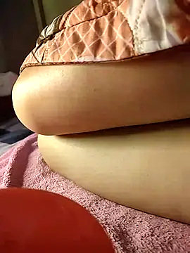 -Tara-a webcam